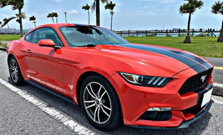 Corvette vs. Mustang Rental: Which One Actually Wins the Battle?
